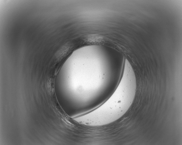 X0000059790428200510210926