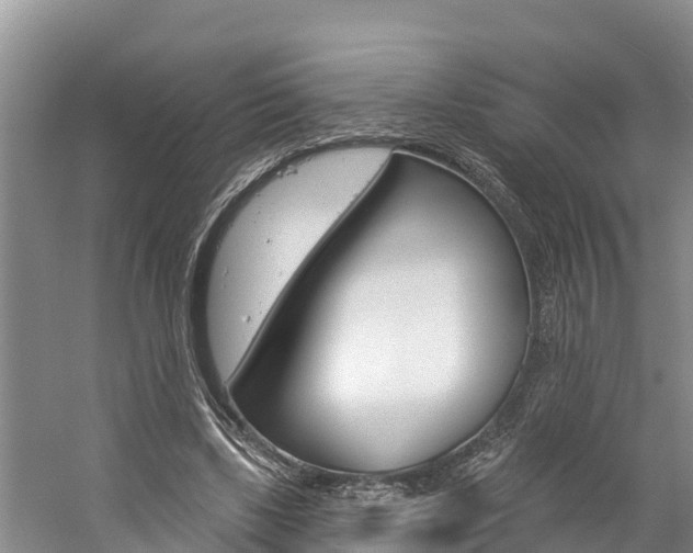 X0000059790443200510210925