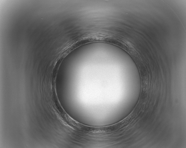 X0000059790500200510210925