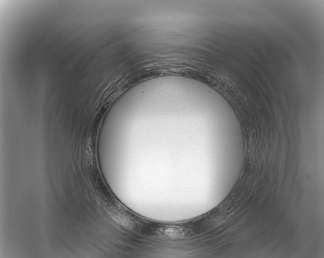 X0000059790506200510210925