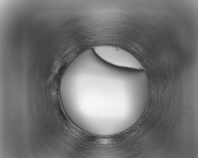 X0000059790507200510210925