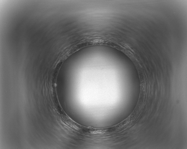 X0000059790516200510210925
