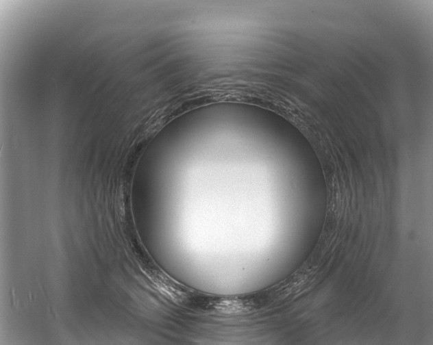 X0000059790562200510210924
