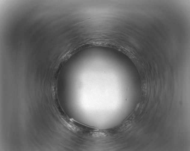 X0000059790572200510210924