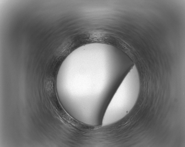 X0000059790603200510210923