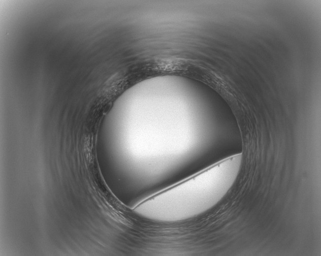 X0000059790605200510210923
