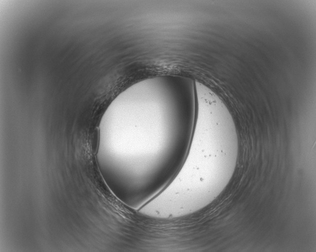X0000059790613200510210923