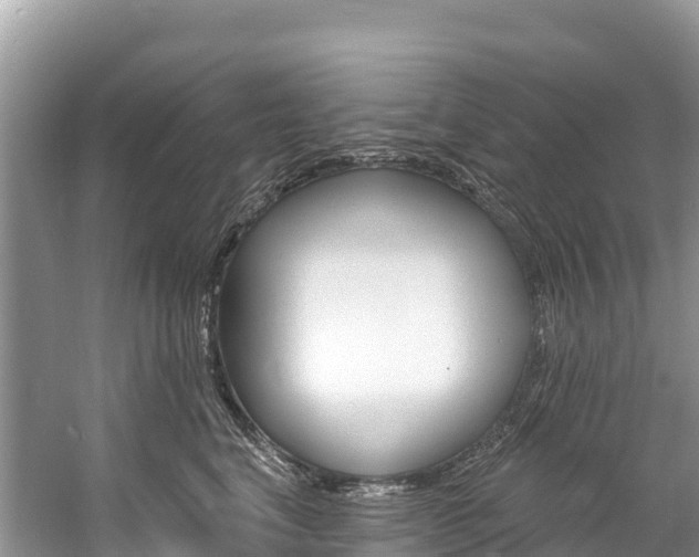 X0000059790664200510210923