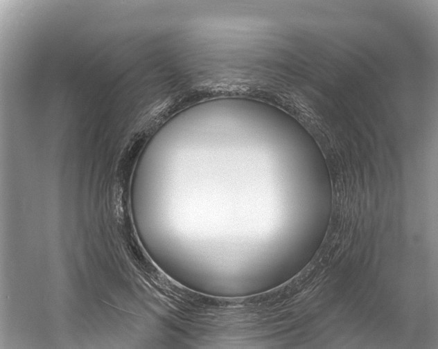 X0000059790692200510210922
