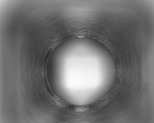 X0000059790708200510210921