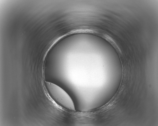 X0000059790852200510210919