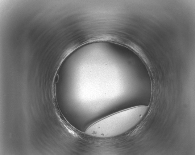 X0000059790858200510210919