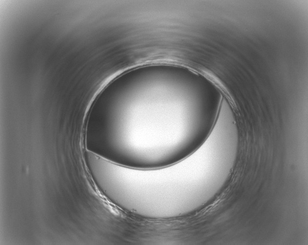 X0000059790956200510210918
