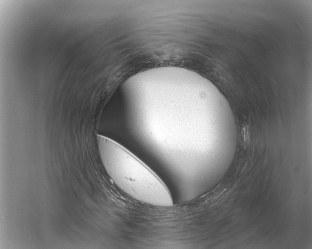 X0000059790963200510210917