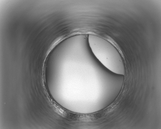 X0000059791002200510210916