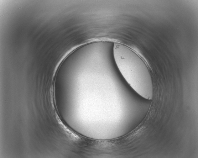 X0000059791100200510210915