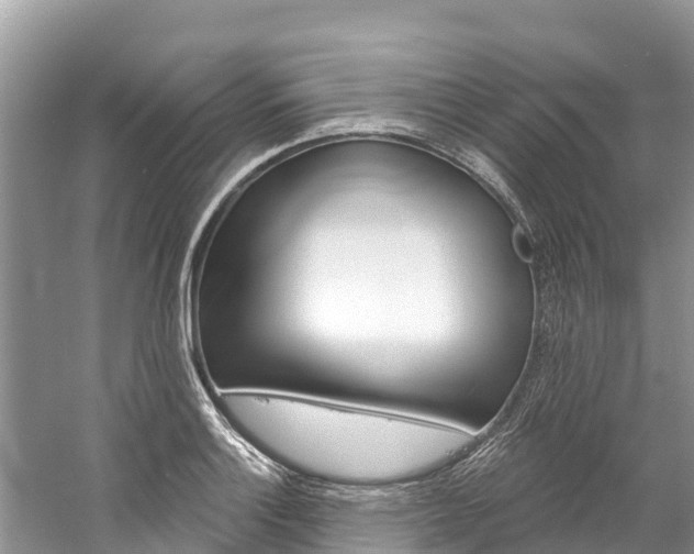 X0000059791132200510210914