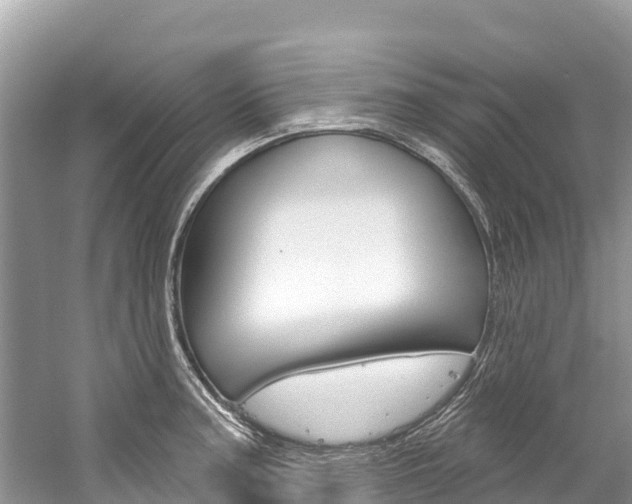 X0000059791187200510210913