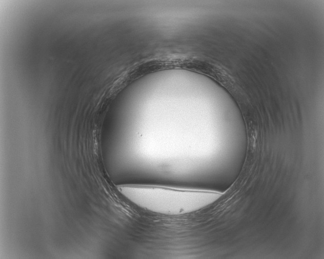 X0000059791204200510210912