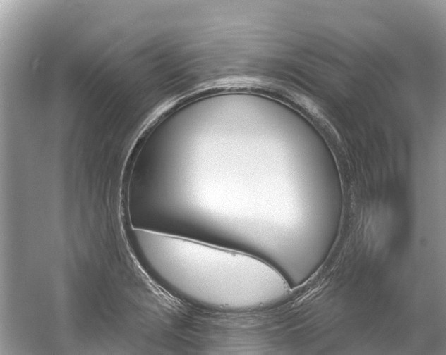 X0000059791229200510210913