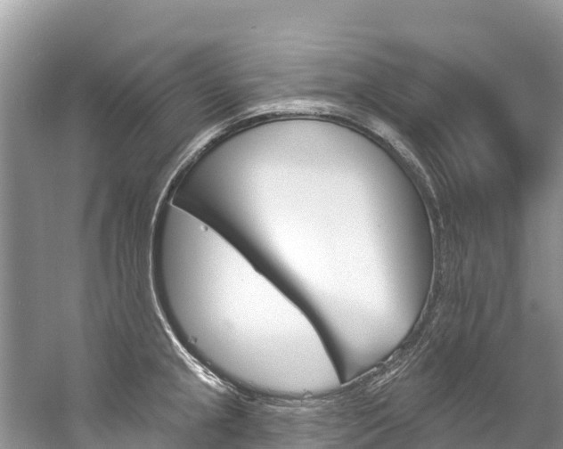X0000059791237200510210913