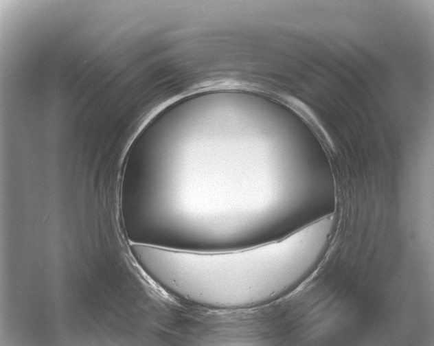 X0000059791244200510210913