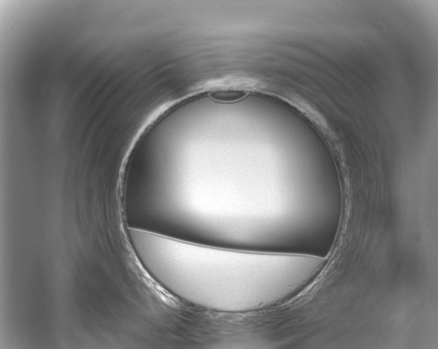 X0000059791248200510210913
