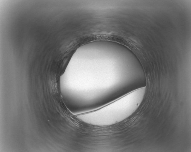 X0000059791252200510210912