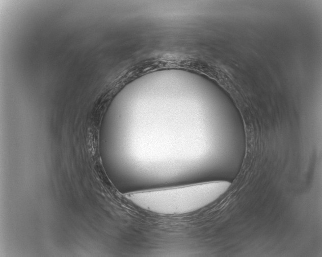 X0000059791253200510210912