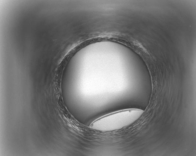 X0000059791256200510210912