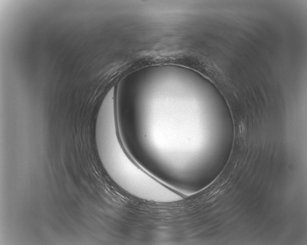 X0000059791300200510210911