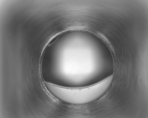 X0000059791340200510210911