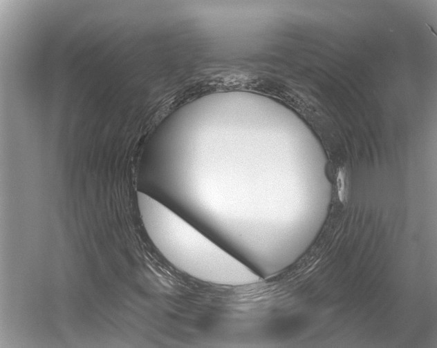 X0000059791395200510210909