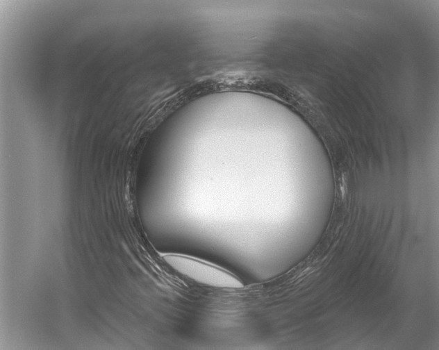 X0000059791396200510210909