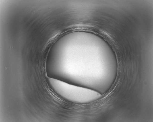X0000059791403200510210909