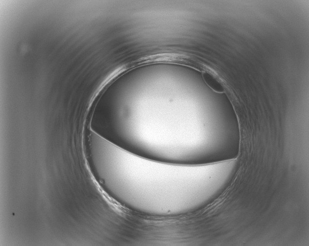 X0000059791426200510210910