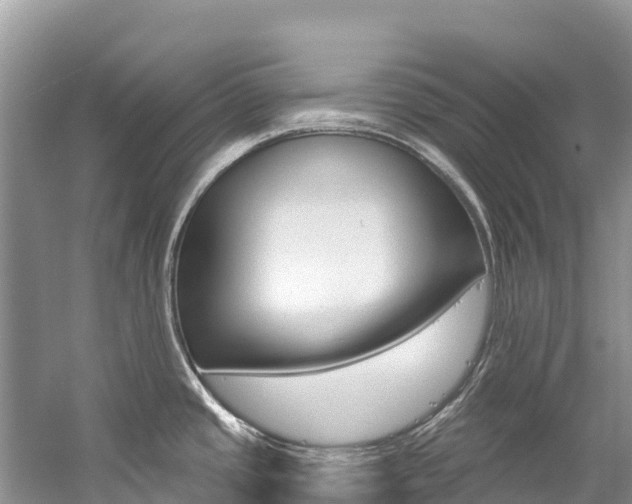 X0000059791437200510210910