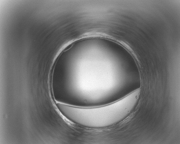 X0000059791438200510210910