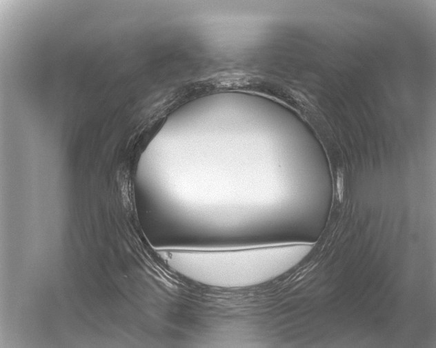 X0000059791444200510210909