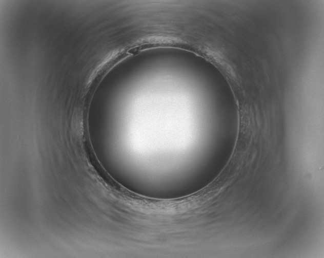 X0000059790015200510211129