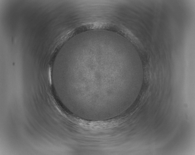 X0000059790022200510211129