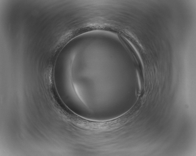 X0000059790023200510211129
