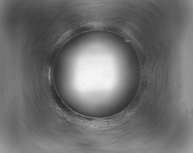 X0000059790024200510211129