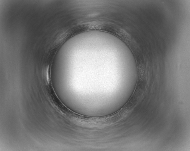 X0000059790028200510211129