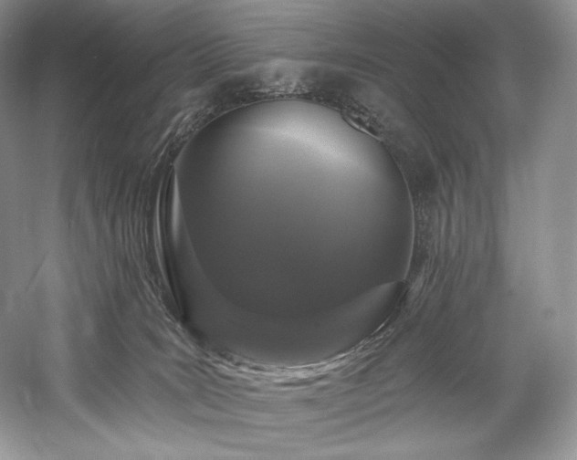 X0000059790035200510211129