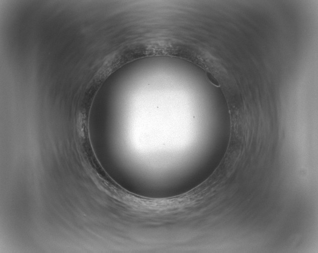 X0000059790038200510211129