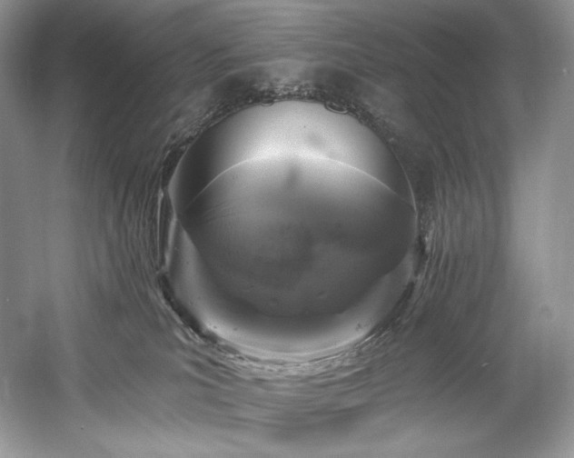 X0000059790039200510211129