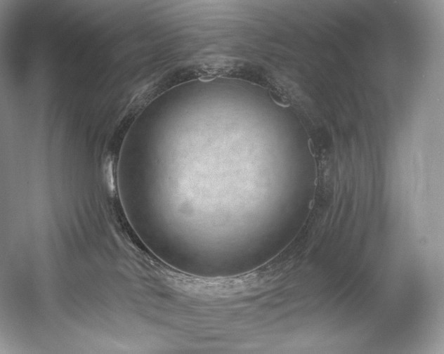 X0000059790042200510211129