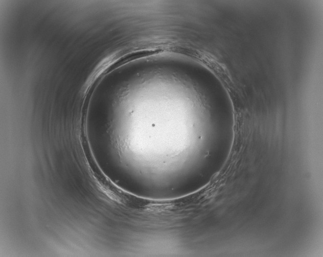 X0000059790051200510211128