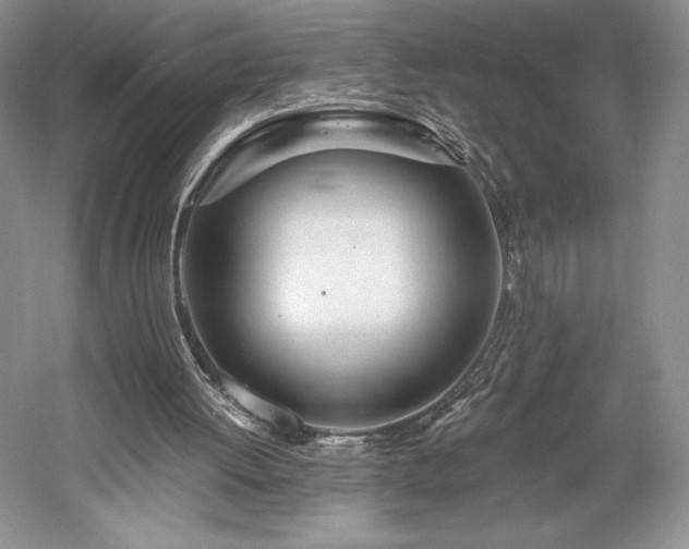X0000059790052200510211128